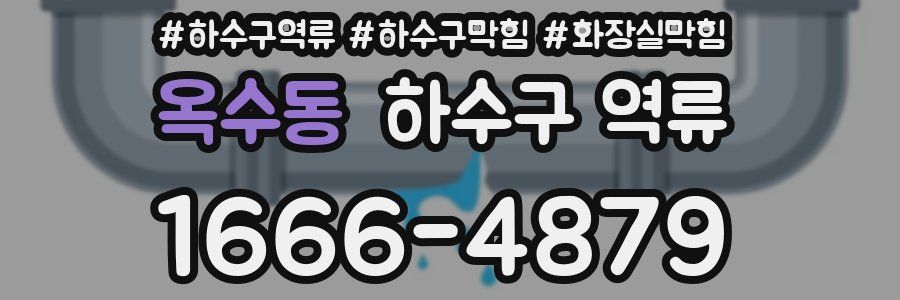 옥수동 하수구 역류