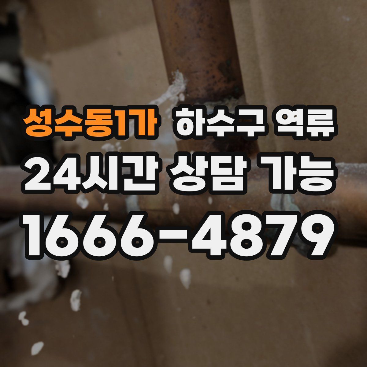 성수동1가 하수구 역류