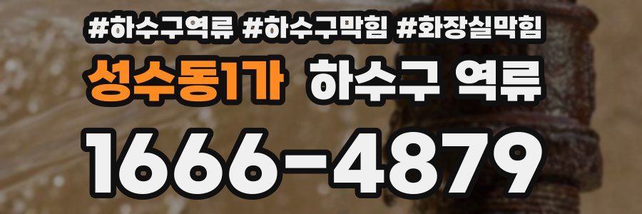 성수동1가 하수구 역류