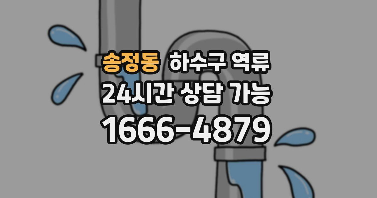 송정동 하수구 역류