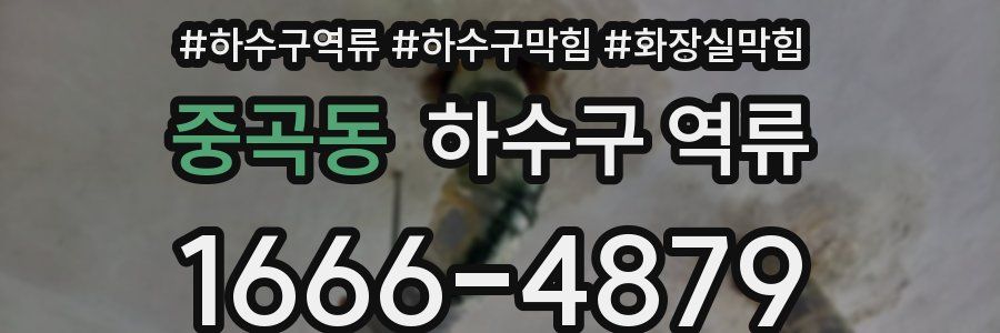 중곡동 하수구 역류