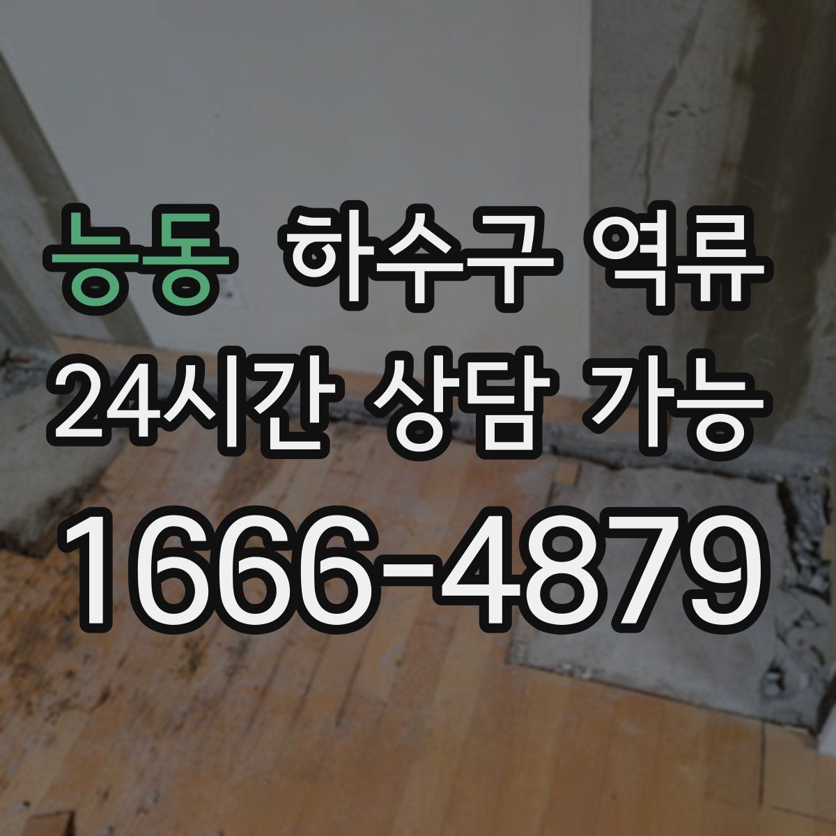 능동 하수구 역류