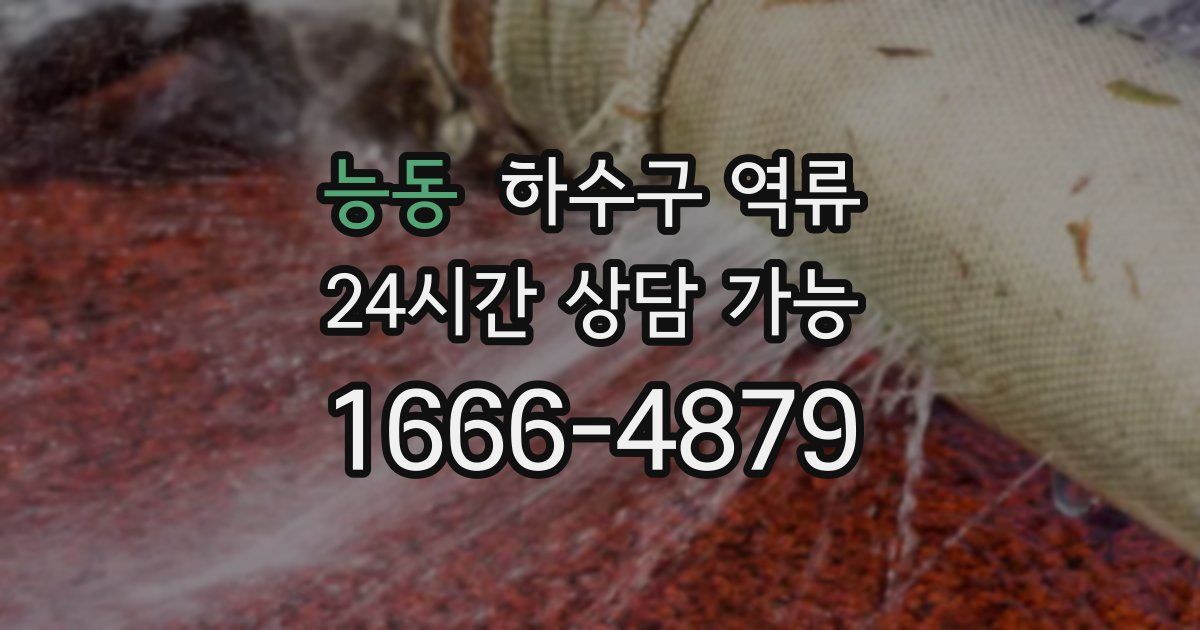 능동 하수구 역류