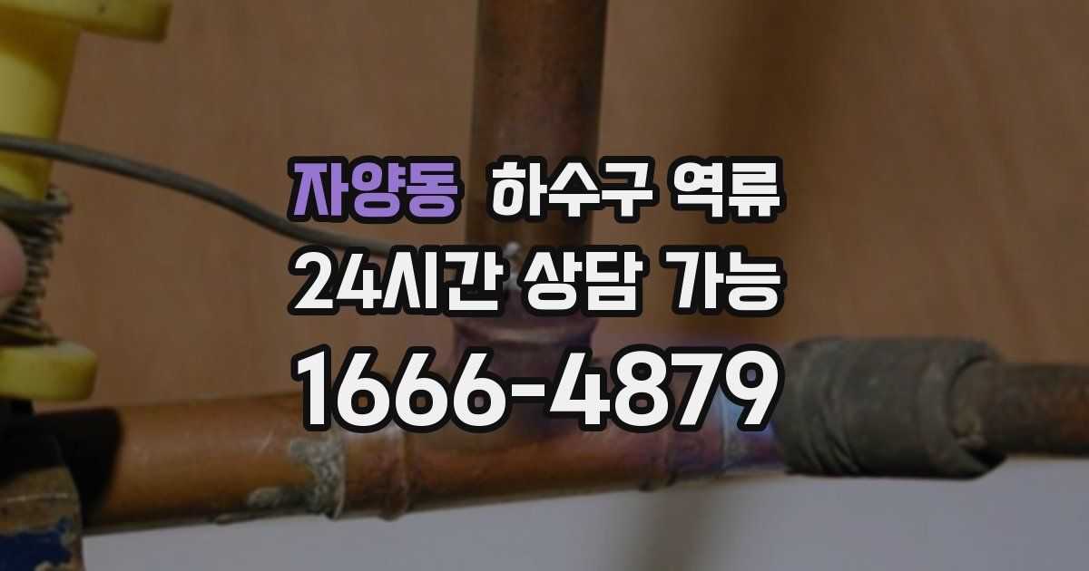 자양동 하수구 역류