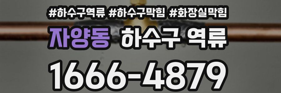 자양동 하수구 역류