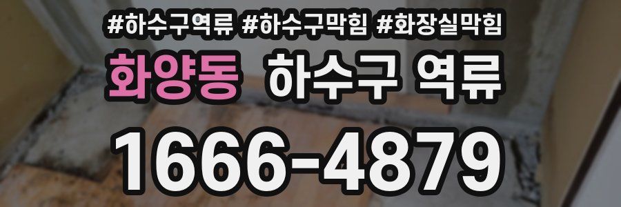 화양동 하수구 역류