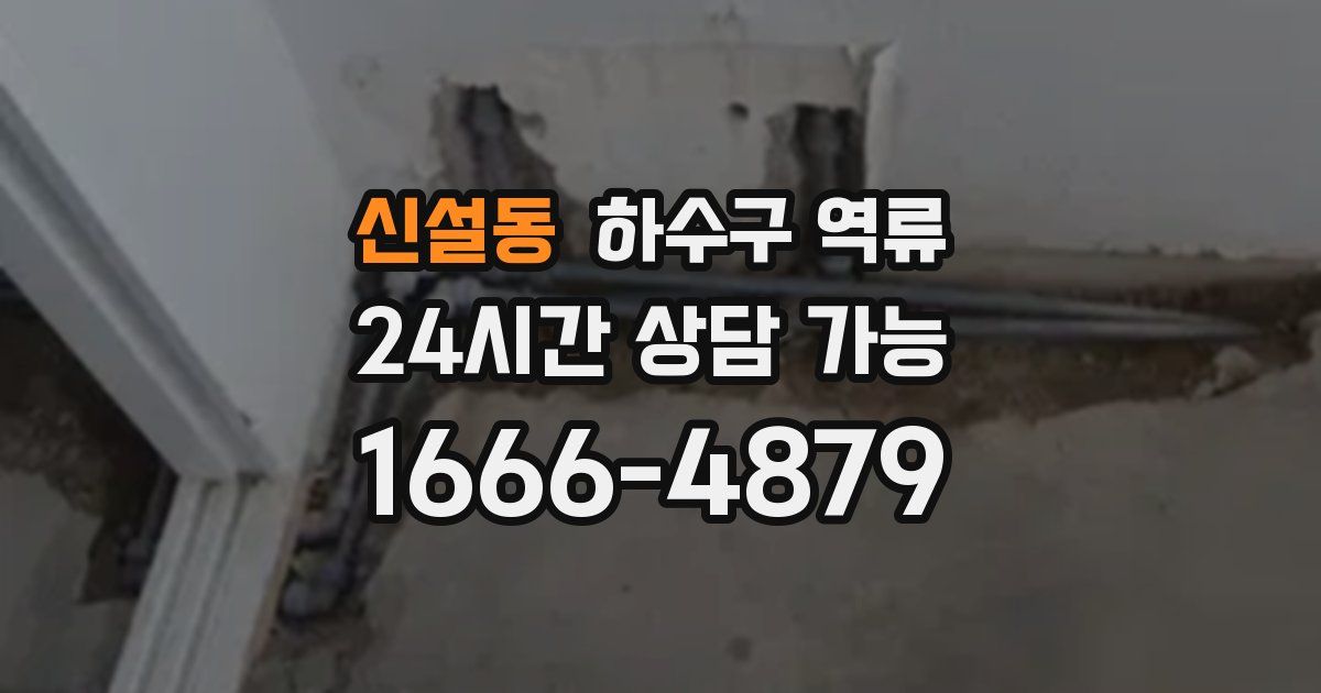 신설동 하수구 역류