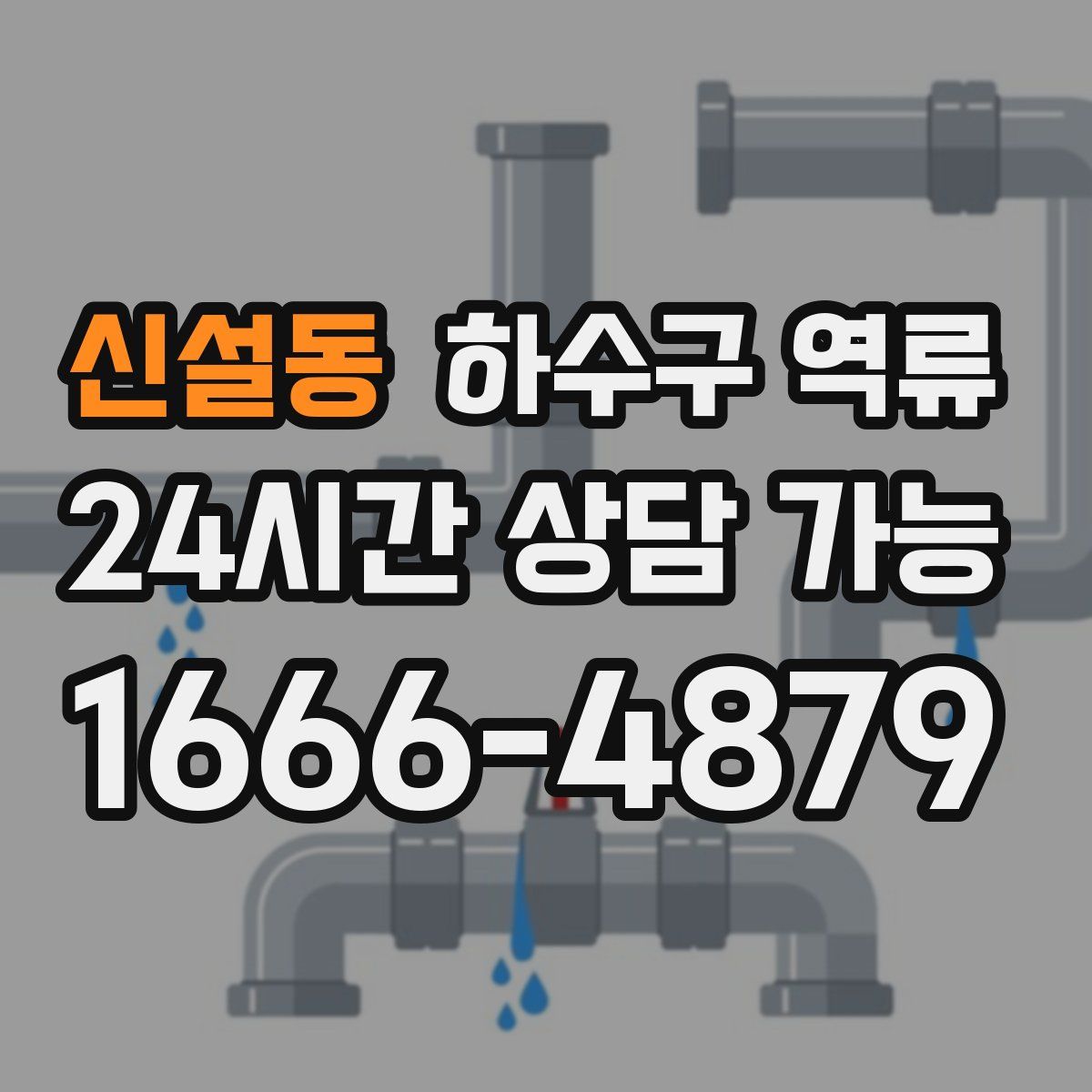 신설동 하수구 역류