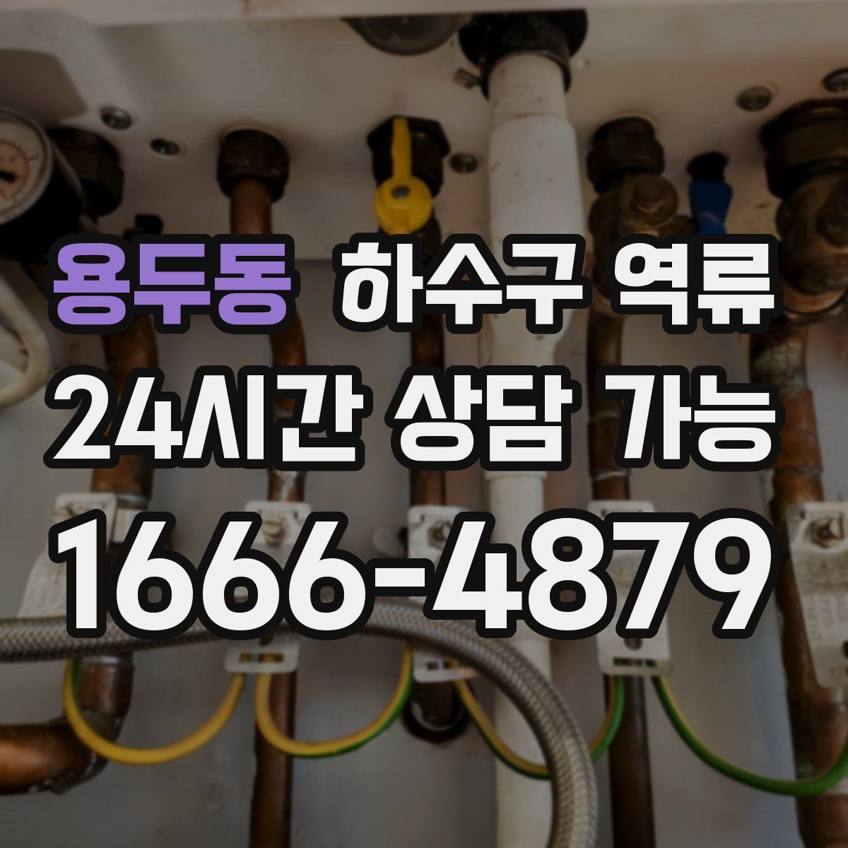 용두동 하수구 역류