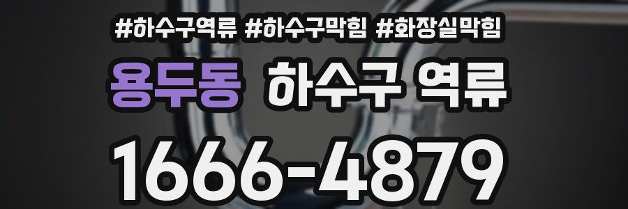 용두동 하수구 역류