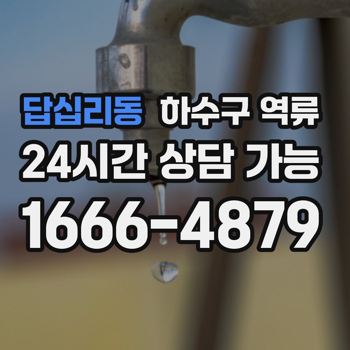 답십리동 하수구 역류