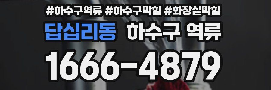 답십리동 하수구 역류