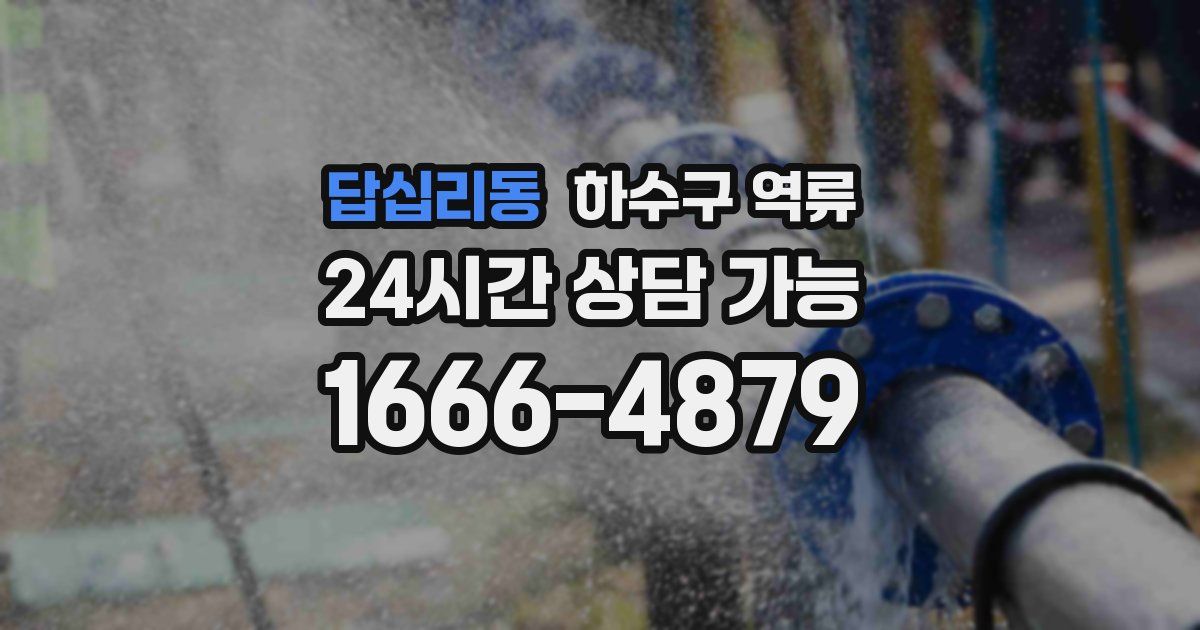 답십리동 하수구 역류