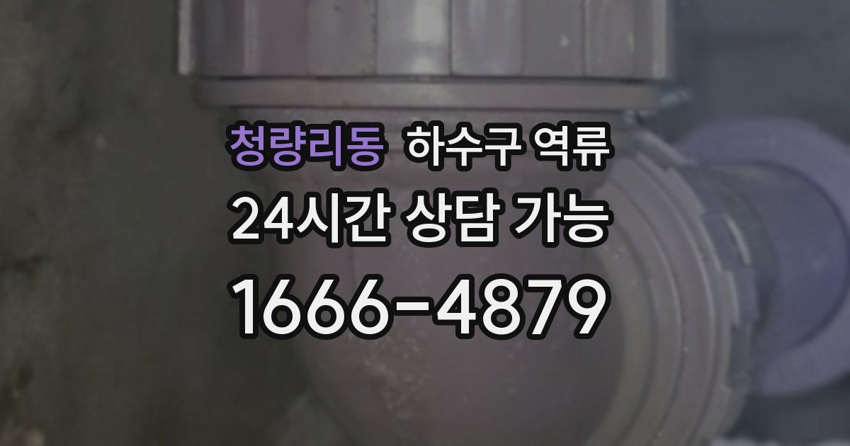 청량리동 하수구 역류