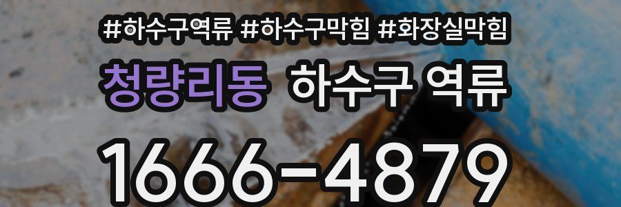 청량리동 하수구 역류