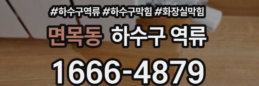 면목동 하수구 역류