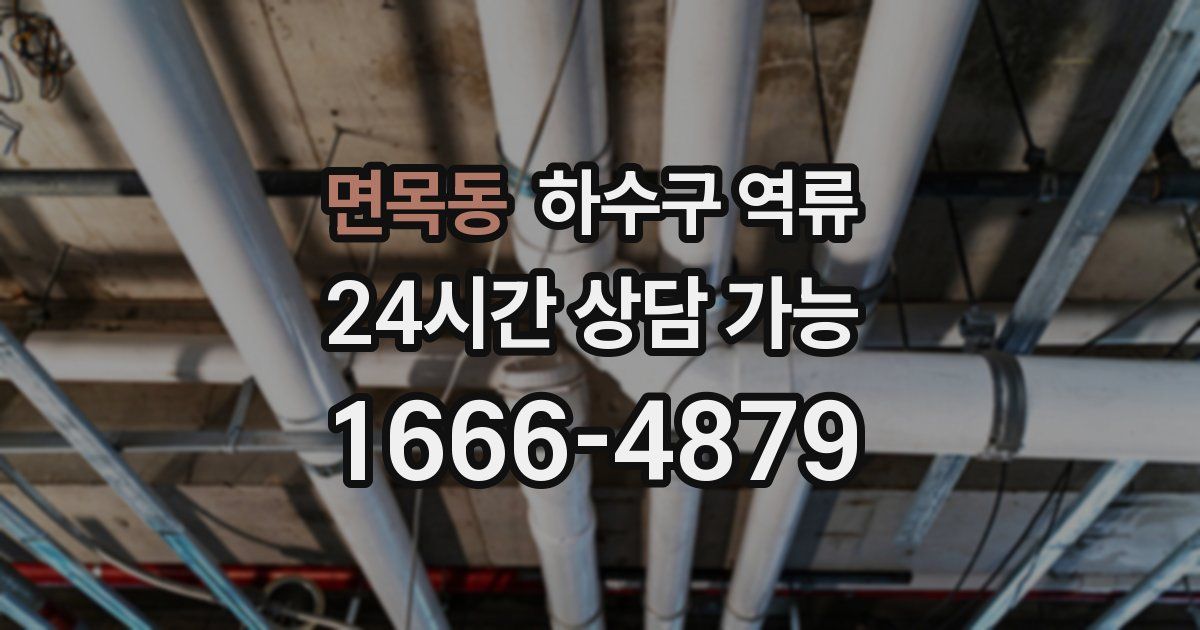 면목동 하수구 역류