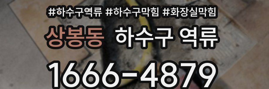 상봉동 하수구 역류