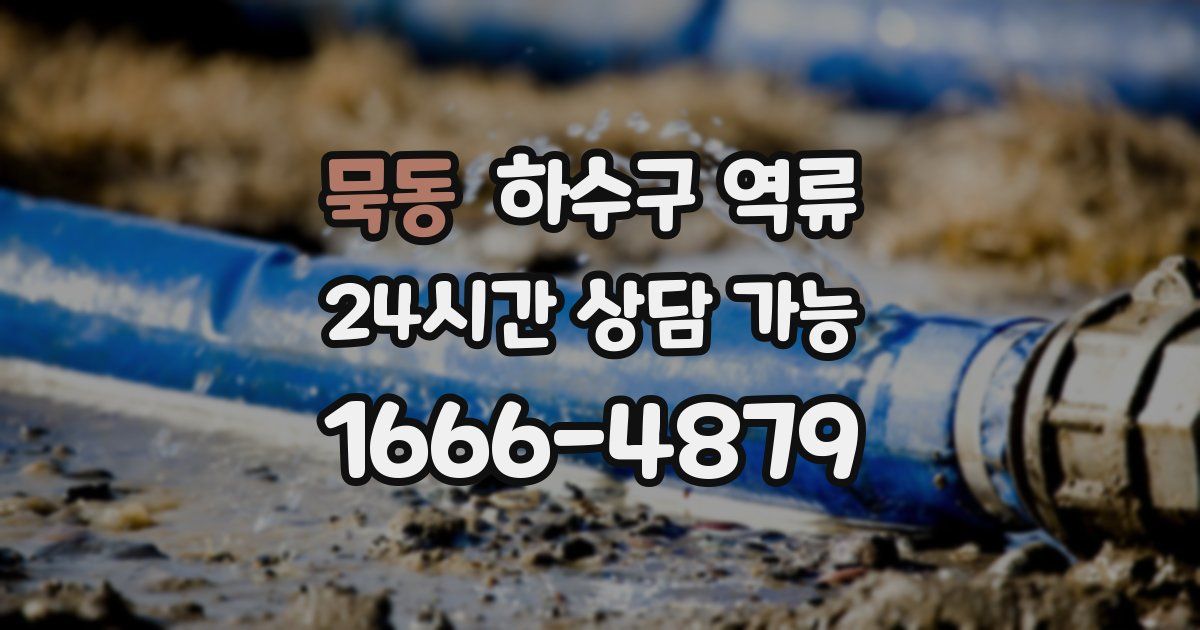 묵동 하수구 역류