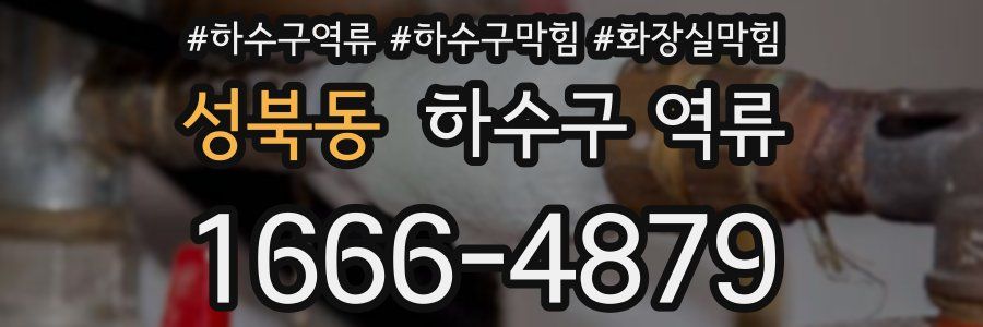 성북동 하수구 역류