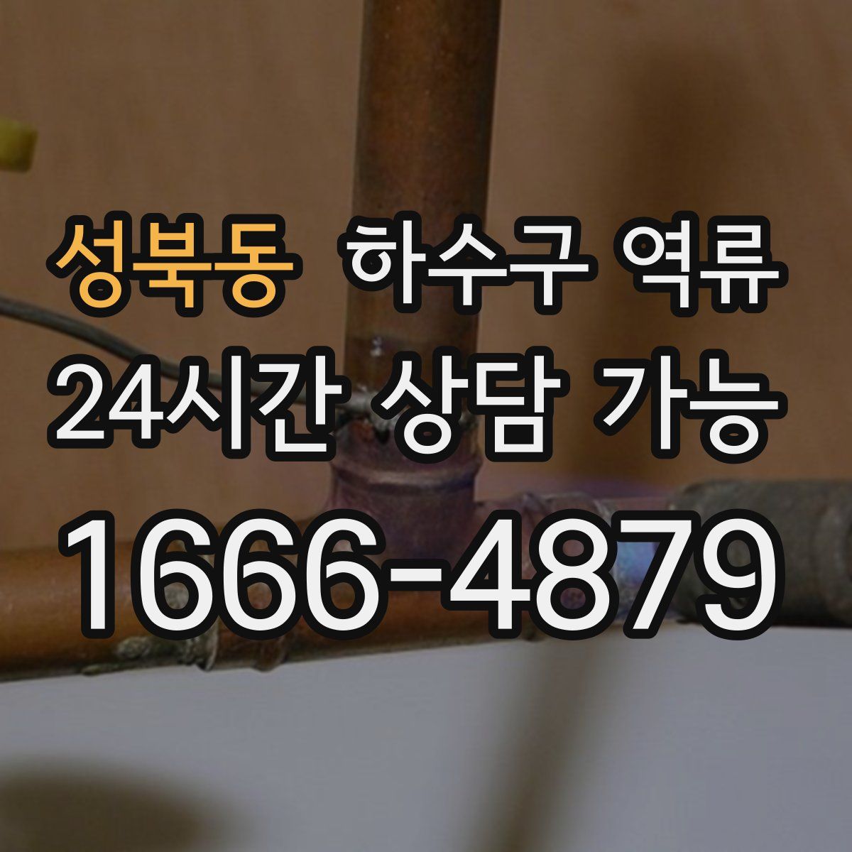 성북동 하수구 역류