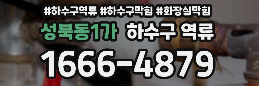 성북동1가 하수구 역류