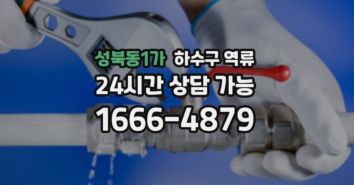 성북동1가 하수구 역류