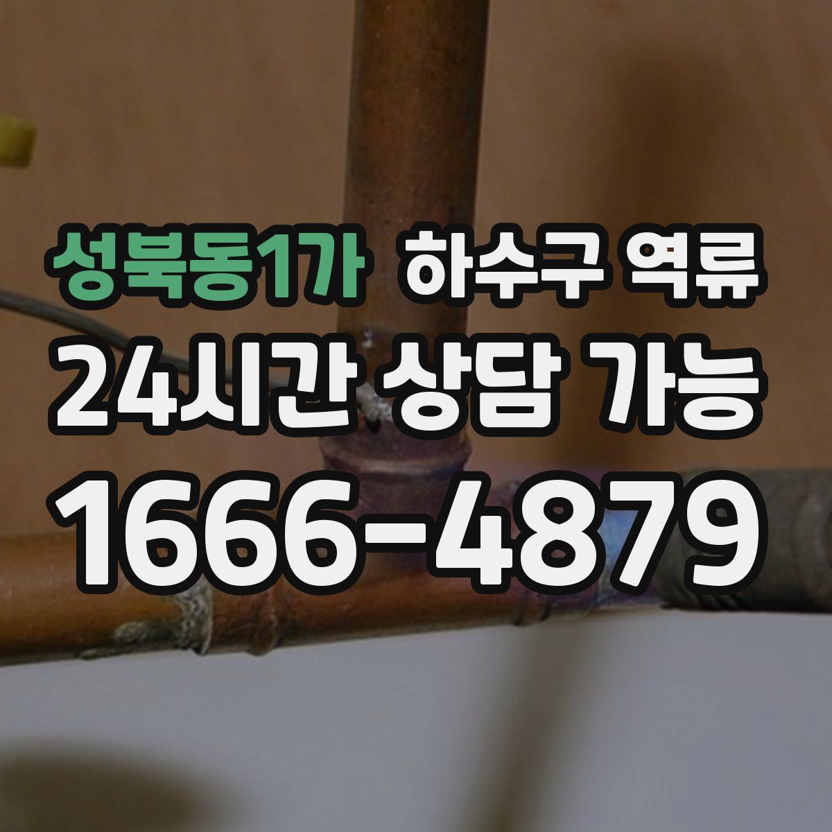 성북동1가 하수구 역류