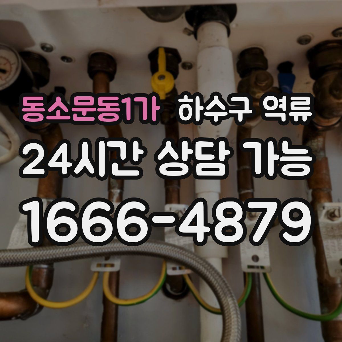 동소문동1가 하수구 역류