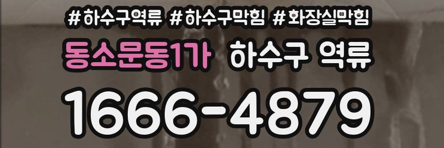 동소문동1가 하수구 역류