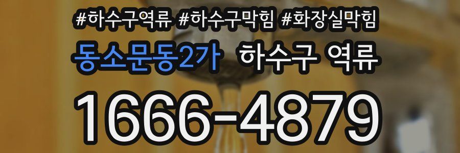 동소문동2가 하수구 역류