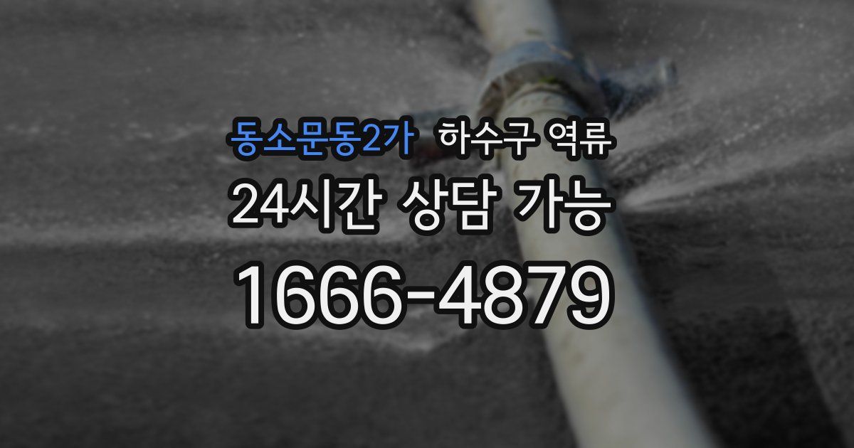 동소문동2가 하수구 역류