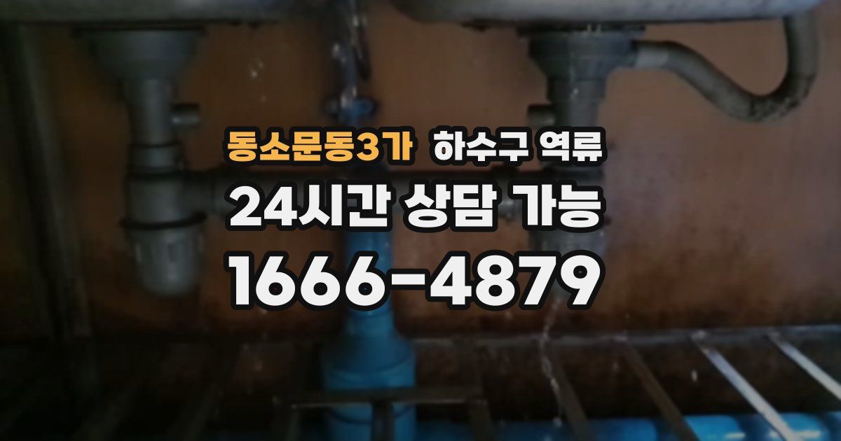 동소문동3가 하수구 역류