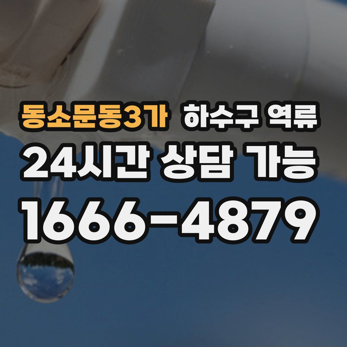 동소문동3가 하수구 역류