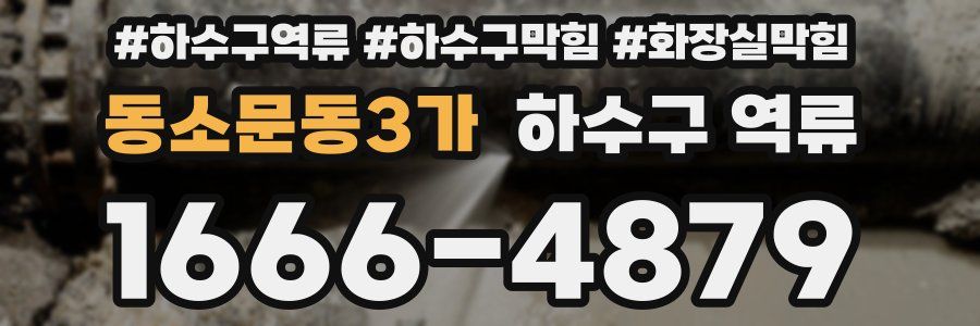 동소문동3가 하수구 역류