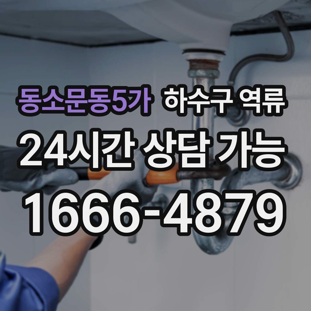 동소문동5가 하수구 역류