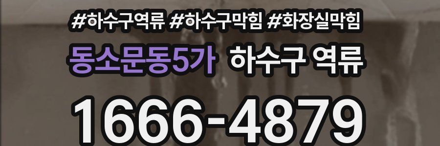 동소문동5가 하수구 역류