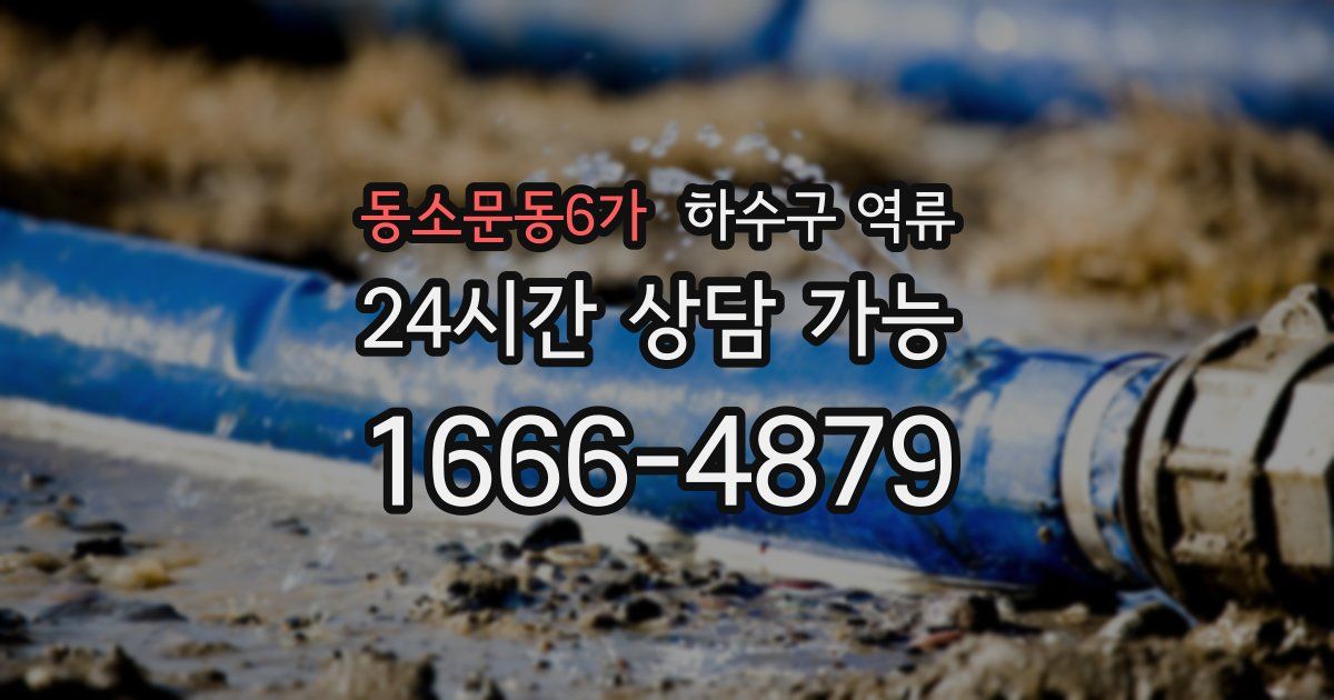 동소문동6가 하수구 역류