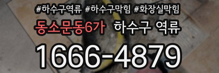 동소문동6가 하수구 역류