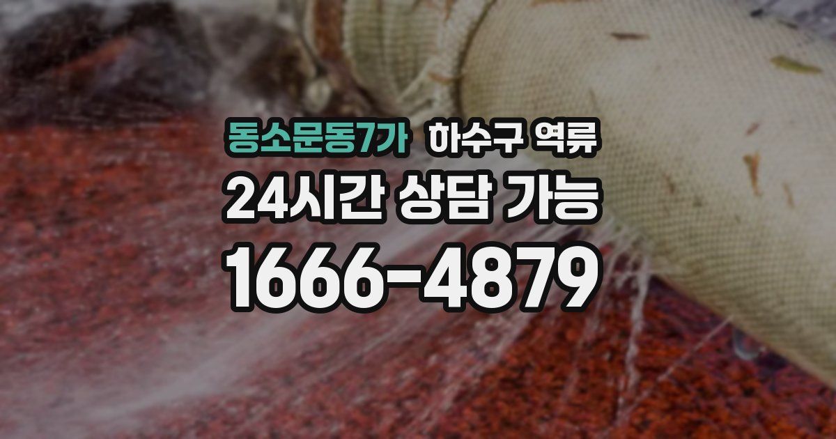 동소문동7가 하수구 역류