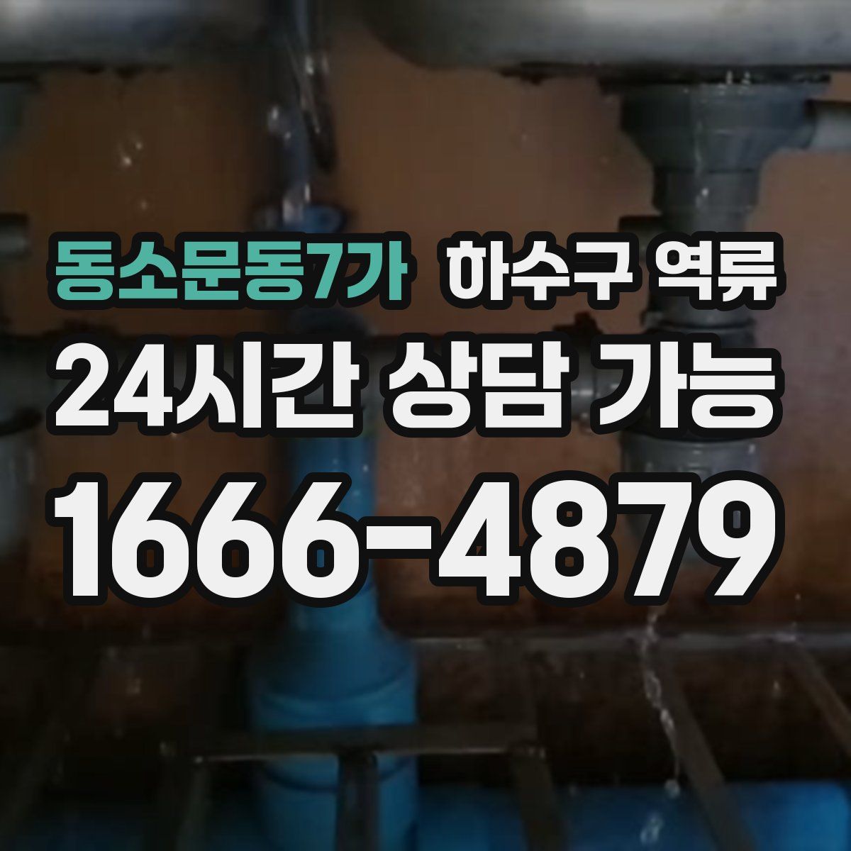 동소문동7가 하수구 역류