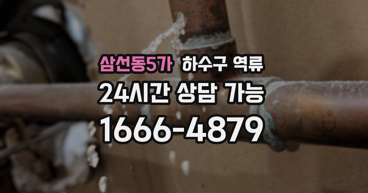 삼선동5가 하수구 역류