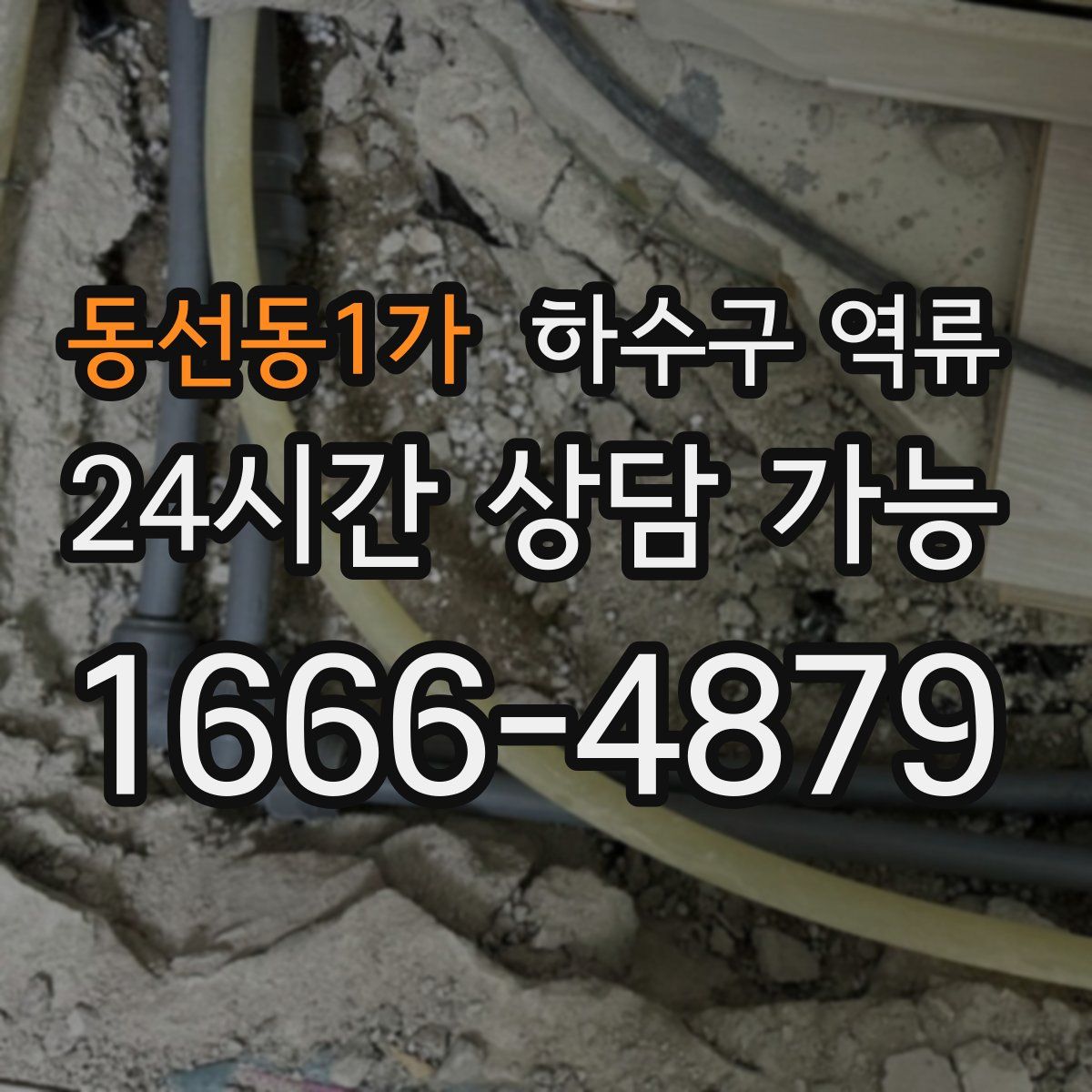 동선동1가 하수구 역류