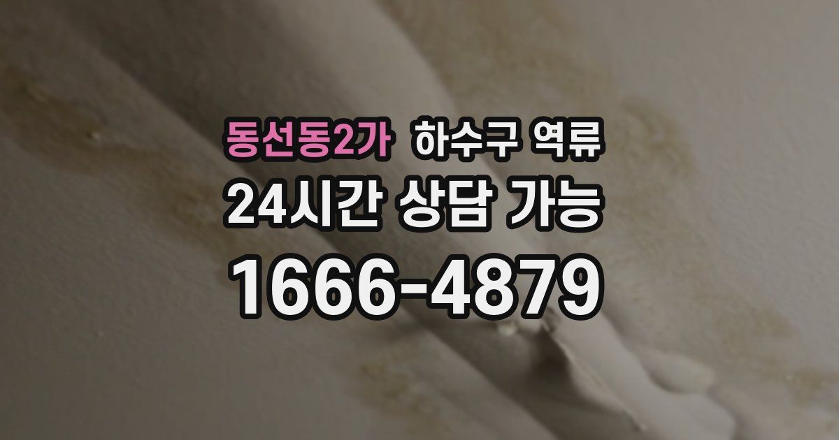 동선동2가 하수구 역류