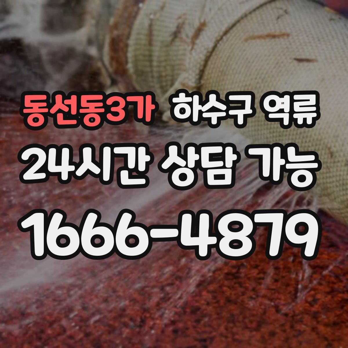 동선동3가 하수구 역류