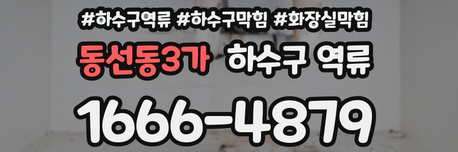 동선동3가 하수구 역류