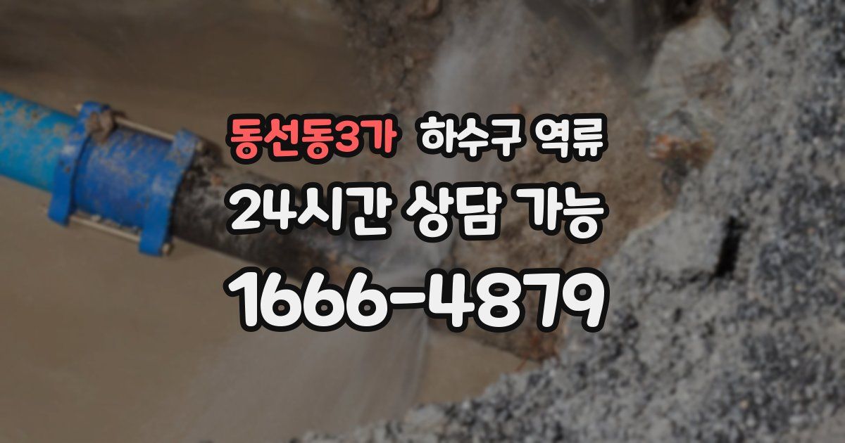 동선동3가 하수구 역류