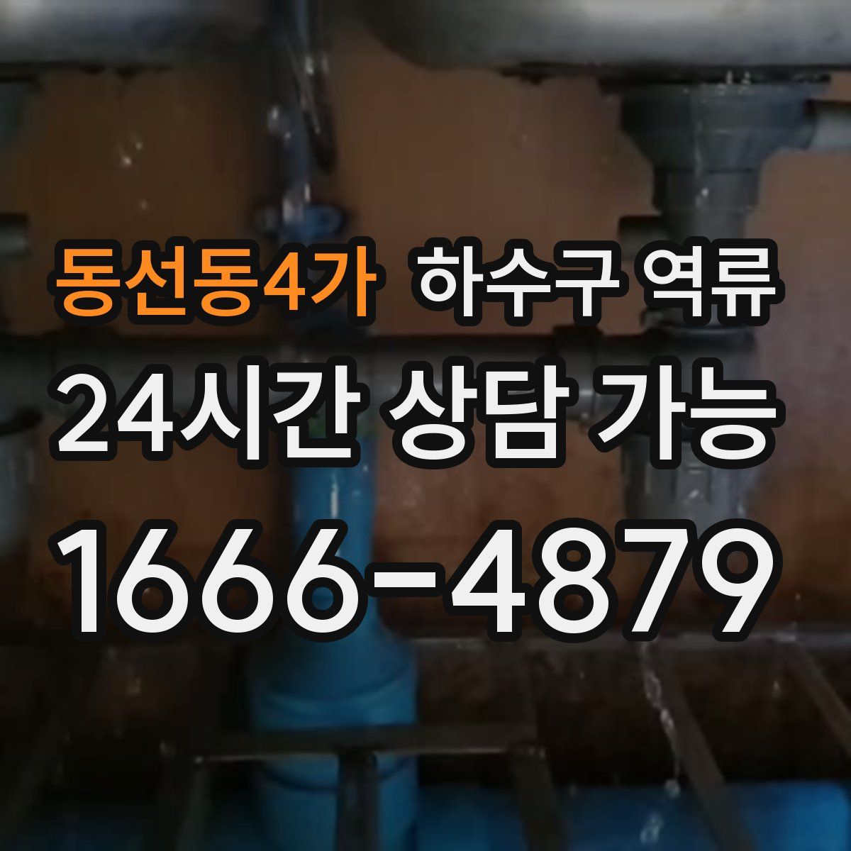 동선동4가 하수구 역류