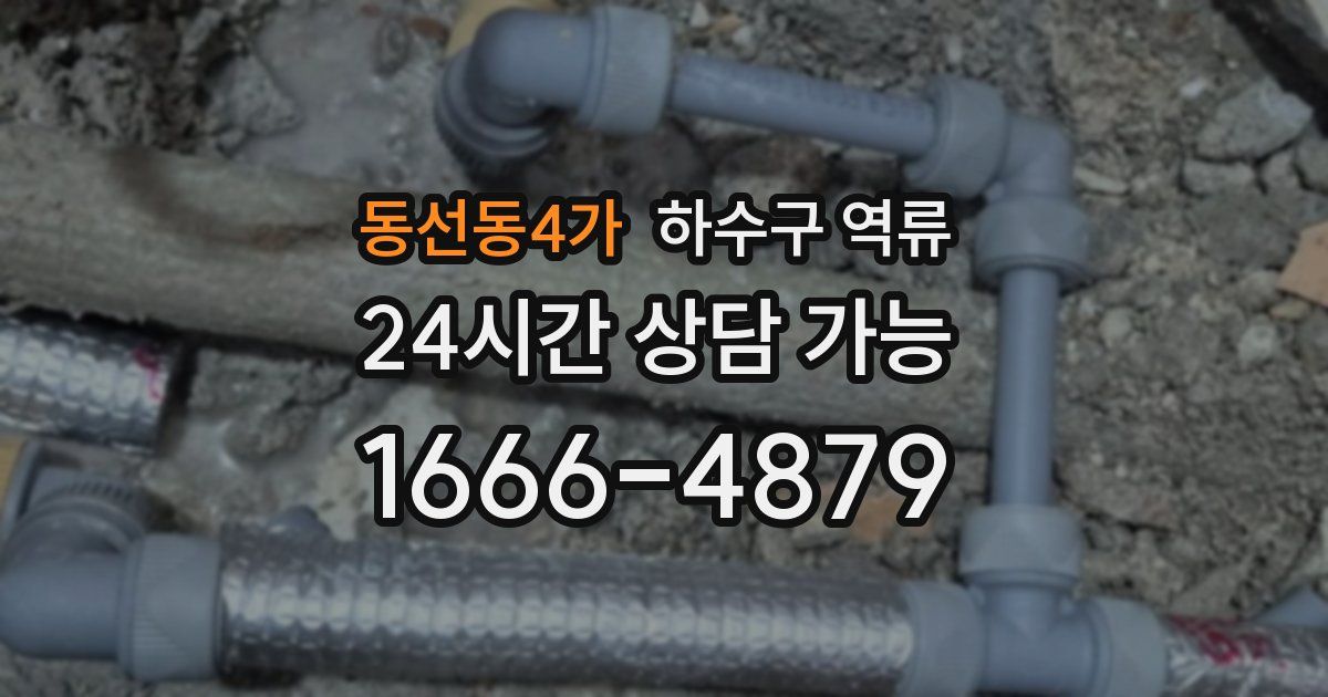 동선동4가 하수구 역류