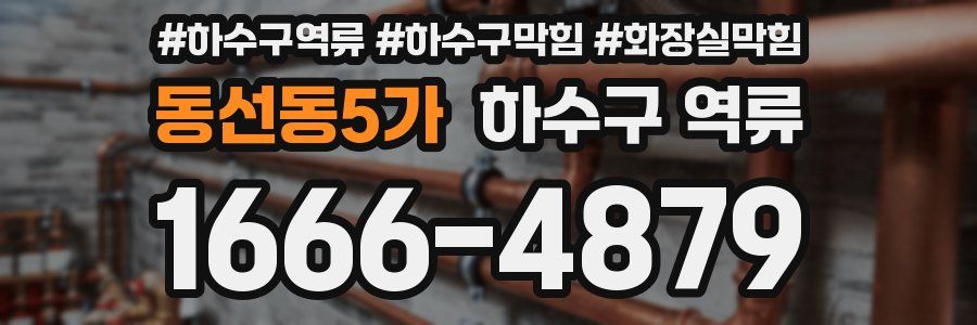 동선동5가 하수구 역류